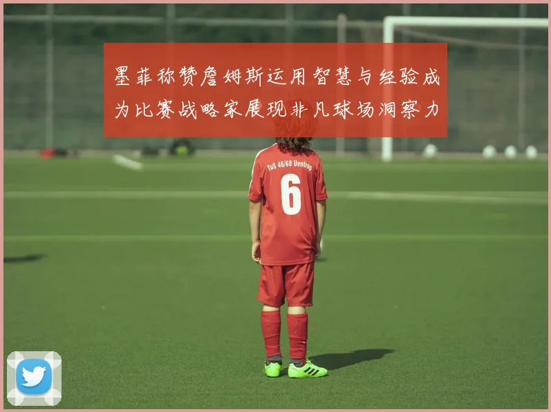 墨菲称赞詹姆斯运用智慧与经验成为比赛战略家展现非凡球场洞察力